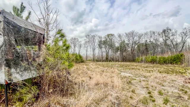 $493,200 | 0 South Locust, Denmark, SC 29042