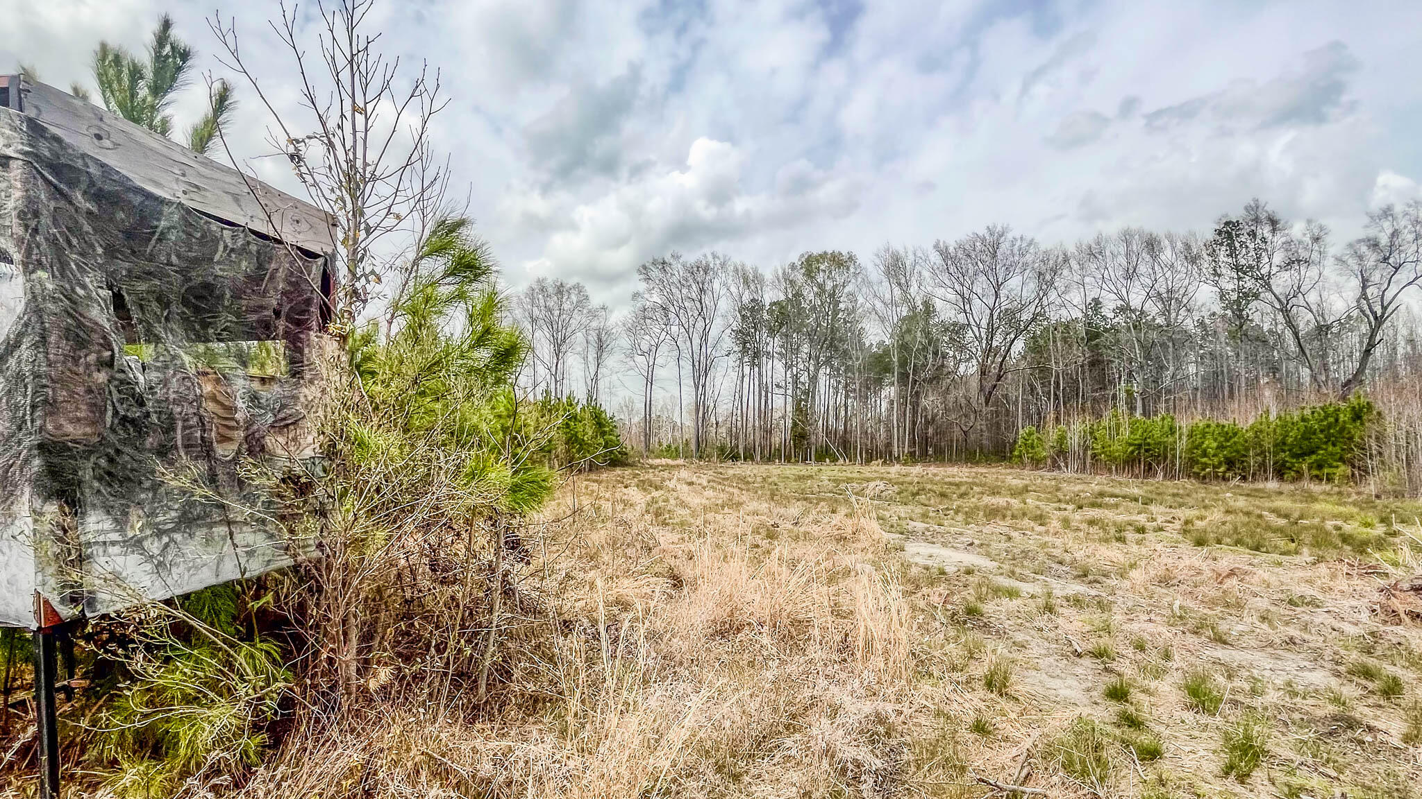 0 South Locust Denmark, SC 29042 - Photo 13 of 13 Denmark Industrial Compass South Land Sa
