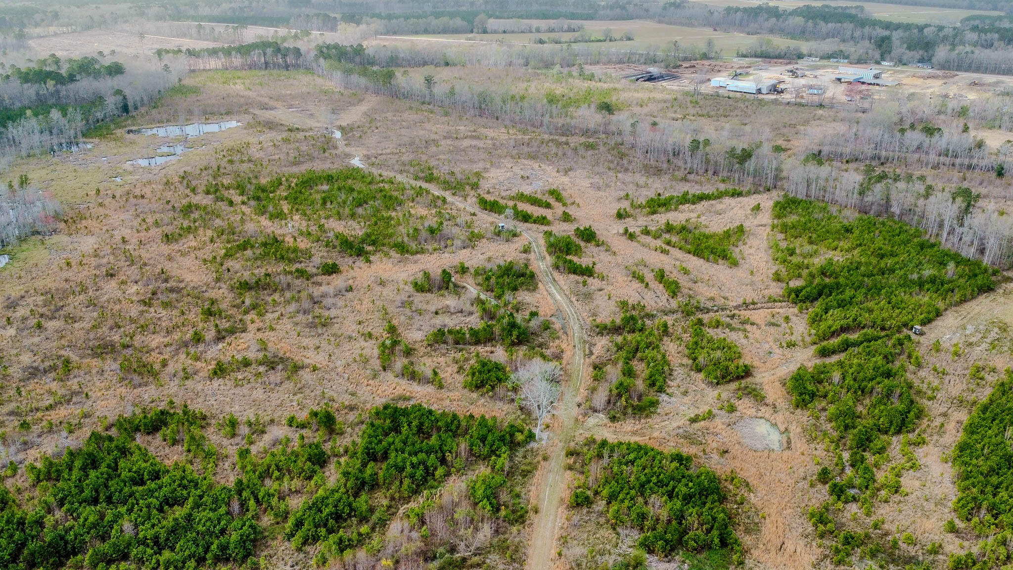 0 South Locust Denmark, SC 29042 - Photo 2 of 13 Denmark Industrial Compass South Land Sa