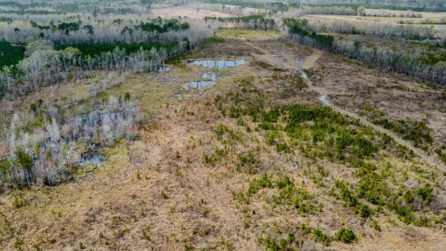 $493,200 | 0 South Locust, Denmark, SC 29042