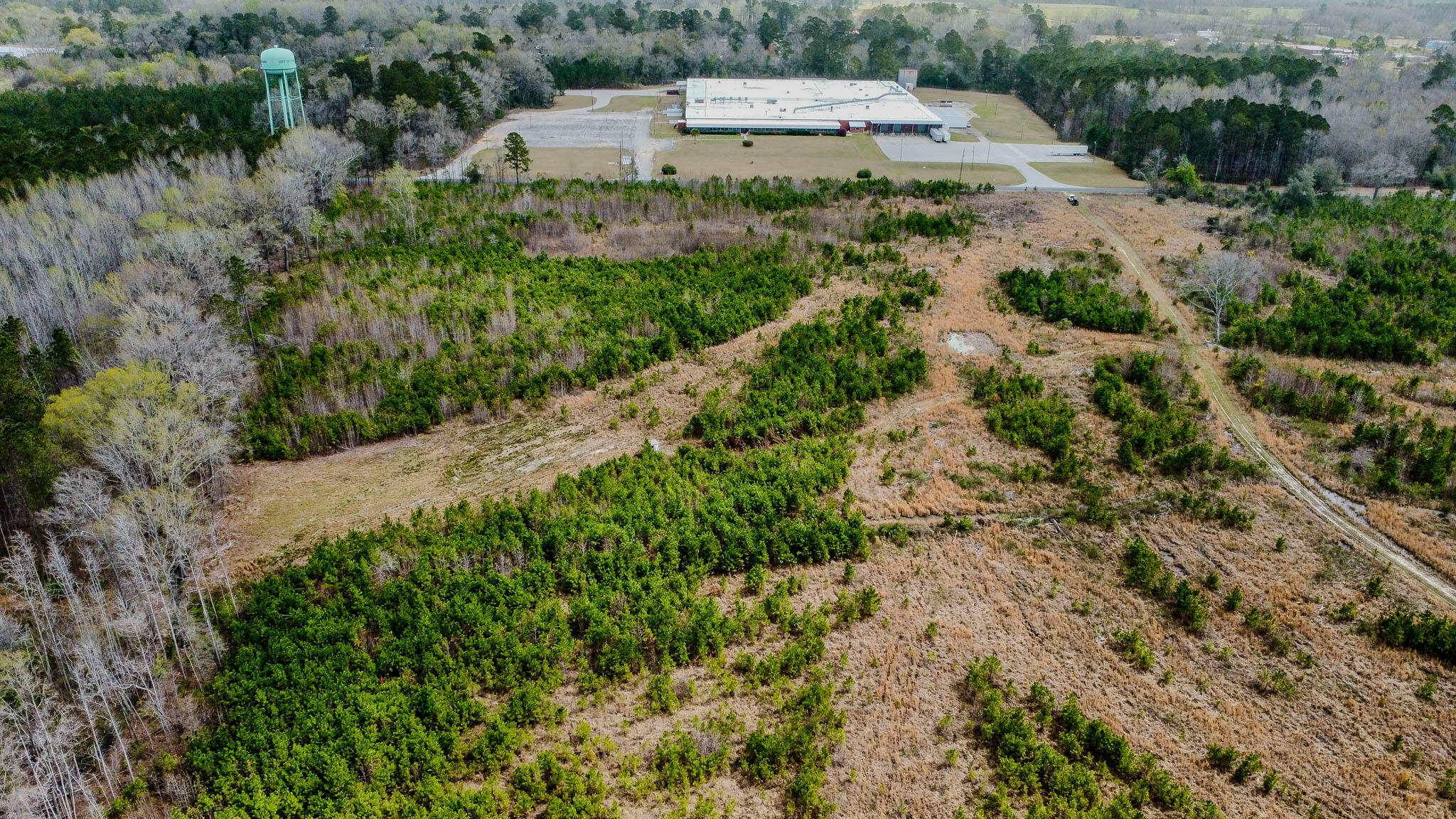 0 South Locust Denmark, SC 29042 - Photo 4 of 13 Denmark Industrial Compass South Land Sa