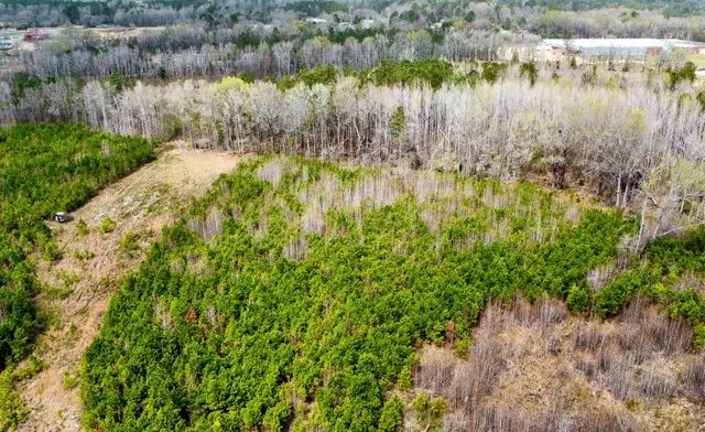 $493,200 | 0 South Locust, Denmark, SC 29042