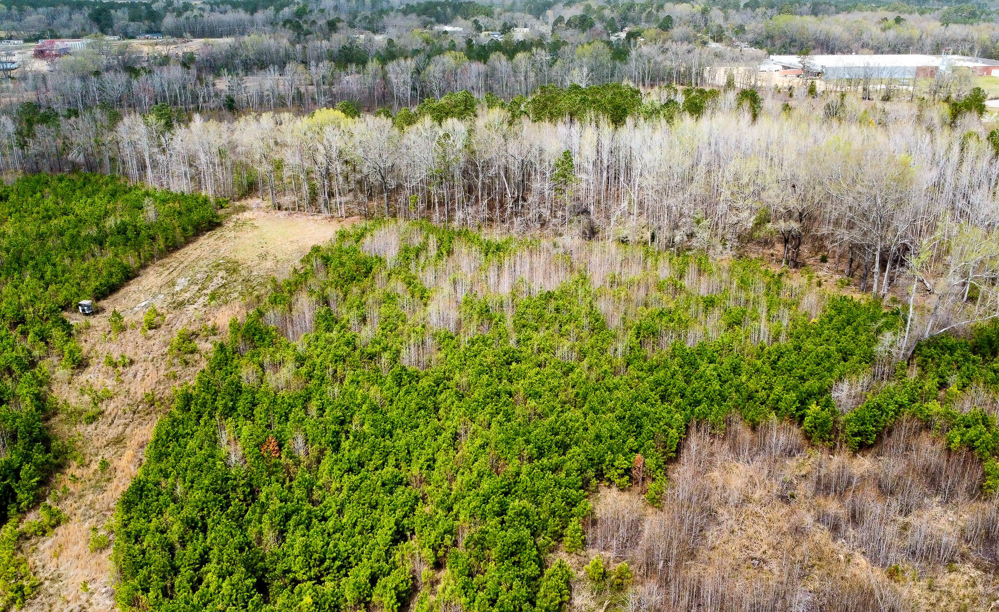 0 South Locust Denmark, SC 29042 - Photo 5 of 13 Denmark Industrial Compass South Land Sa