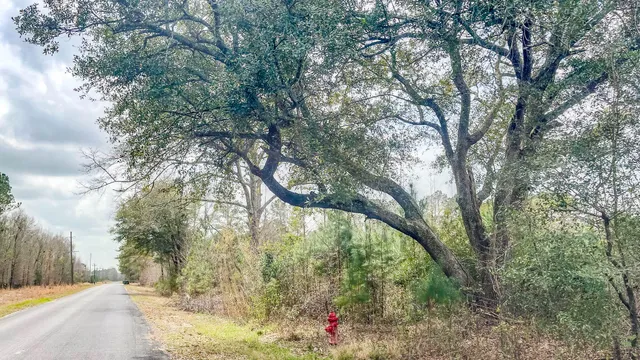 $493,200 | 0 South Locust, Denmark, SC 29042