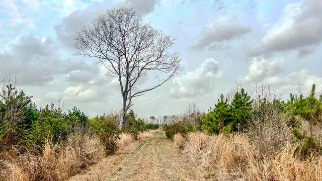 $493,200 | 0 South Locust, Denmark, SC 29042