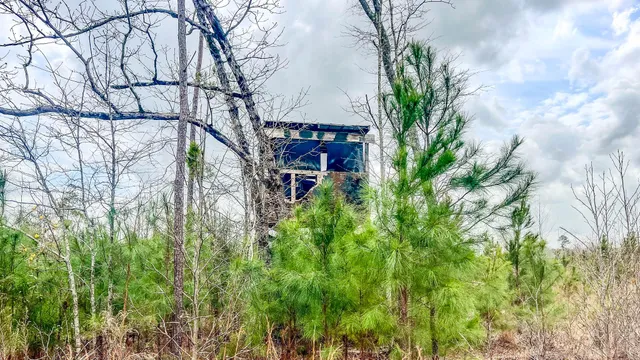 $493,200 | 0 South Locust, Denmark, SC 29042