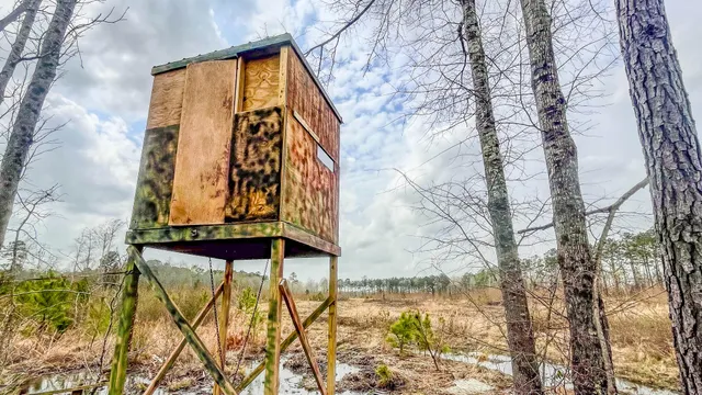 $493,200 | 0 South Locust, Denmark, SC 29042