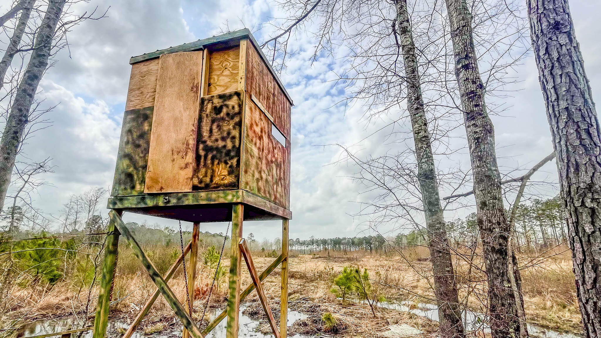0 South Locust Denmark, SC 29042 - Photo 9 of 13 Denmark Industrial Compass South Land Sa