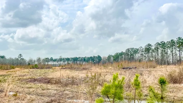 $493,200 | 0 South Locust, Denmark, SC 29042