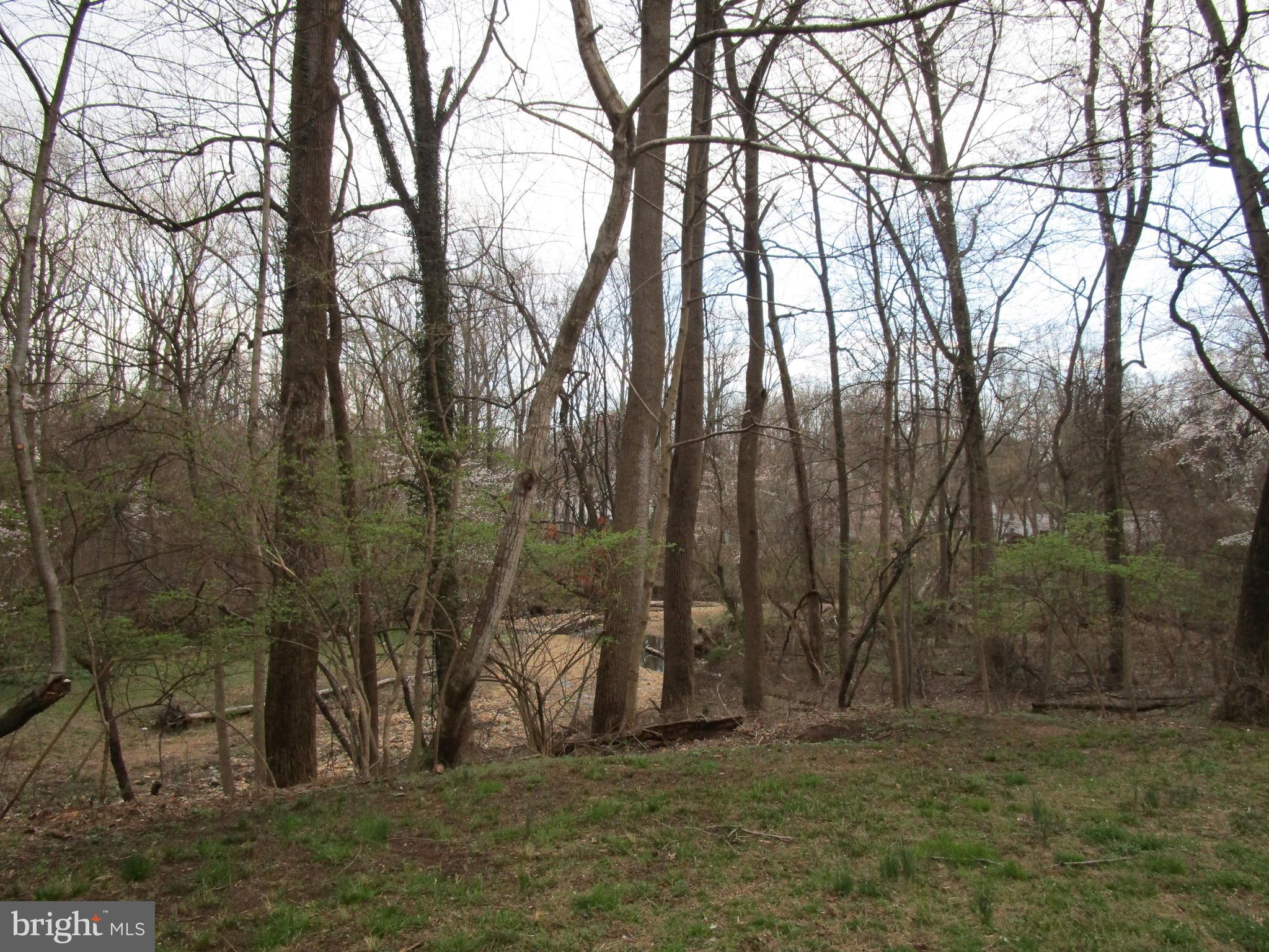 4214 Ivy Glen Road Silver Spring, MD 20906 - Photo 3 of 4