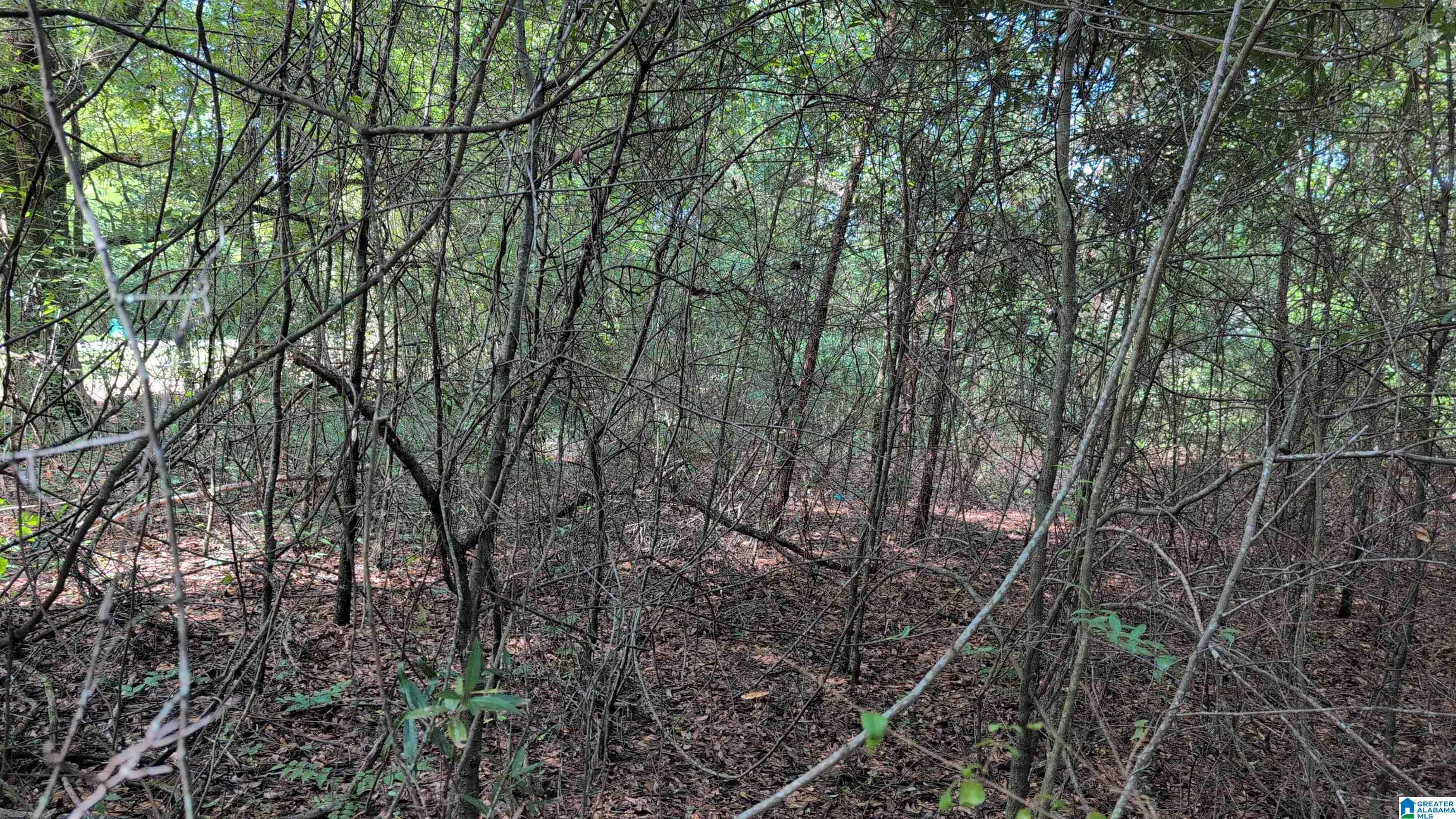 1 Ac /- Coosada Road, Unit 1 Millbrook, AL 36054 - Photo 4 of 11