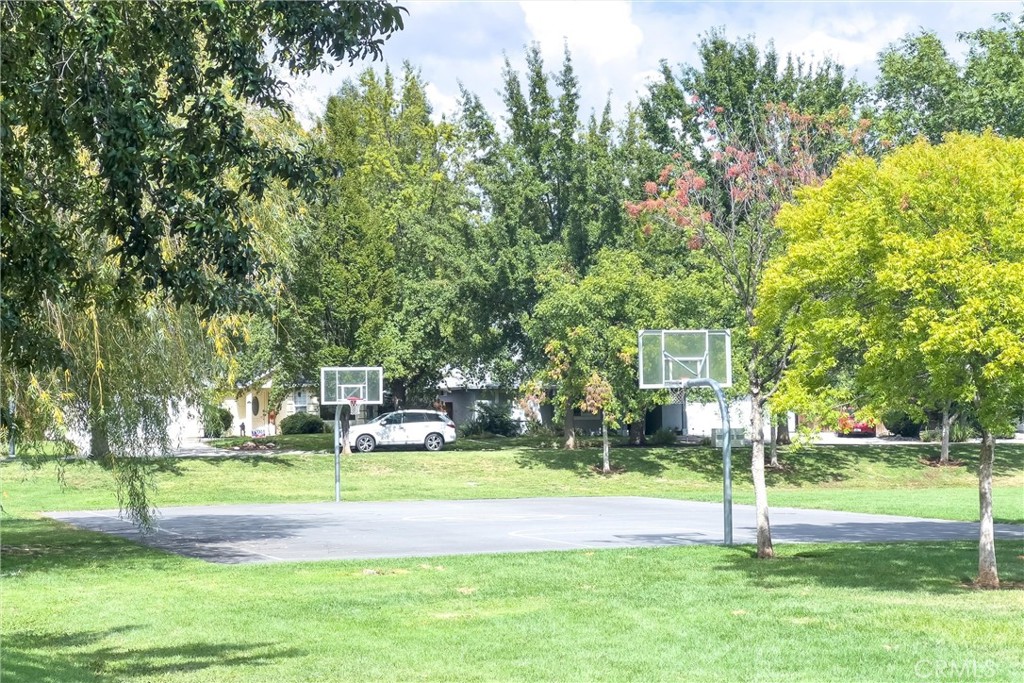 853 Coit Tower Way Chico, CA 95928 - Photo 9 of 49 a garden view with tall trees