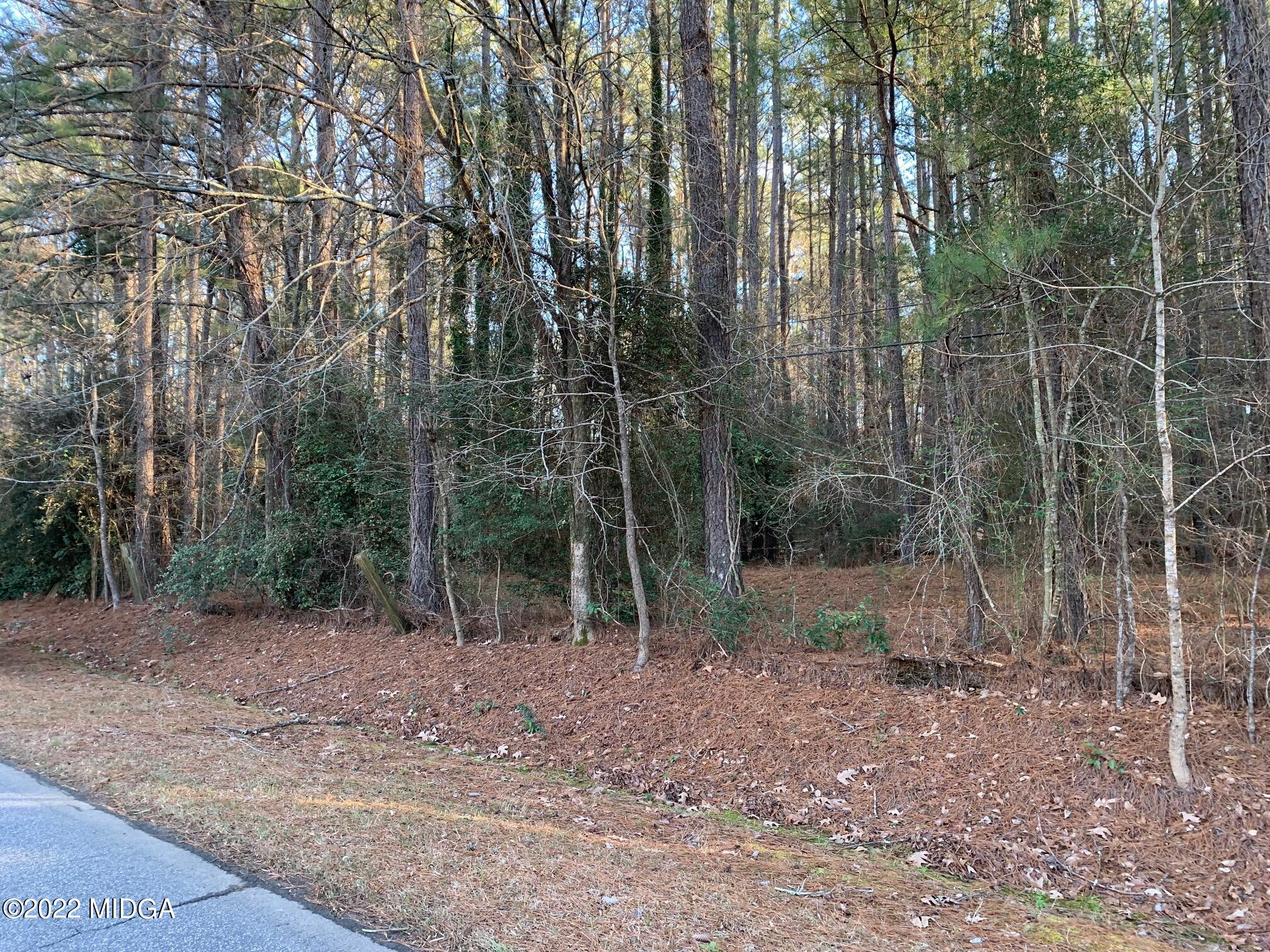 6796 Colaparchee Road Macon, GA 31210 - Photo 2 of 3 a view of a forest with trees in the background