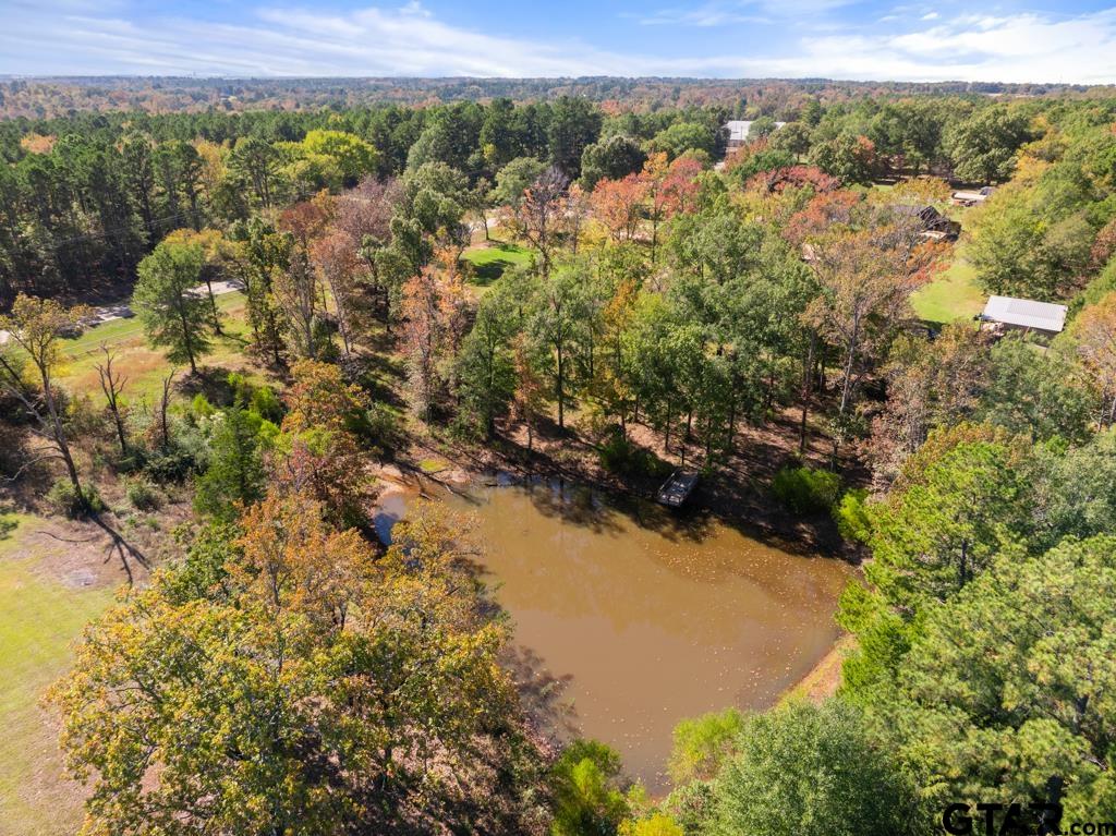 10433 County Road 334 Tyler, TX 75708 - Photo 38 of 43
