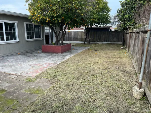 a backyard of a house with fountain plants and large tree