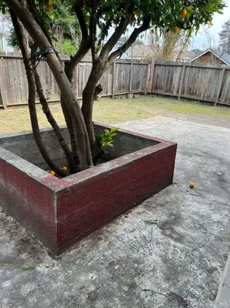 a view of a backyard with large tree