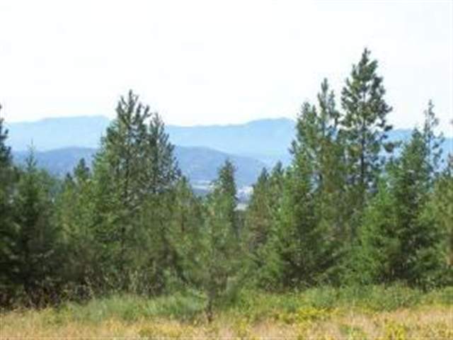 Lot K Old Dominion Road Colville, WA 99114 - Photo 1 of 4