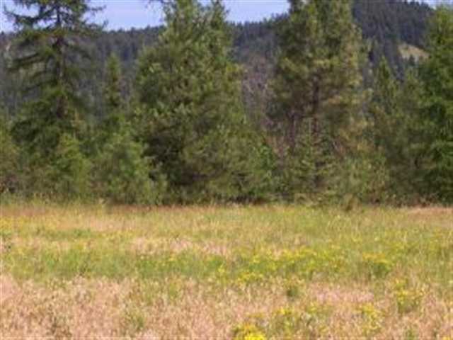 Lot K Old Dominion Road Colville, WA 99114 - Photo 2 of 4