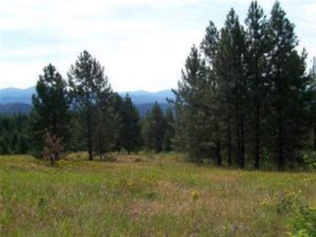 Lot K Old Dominion Road Colville, WA 99114 - Photo 3 of 4
