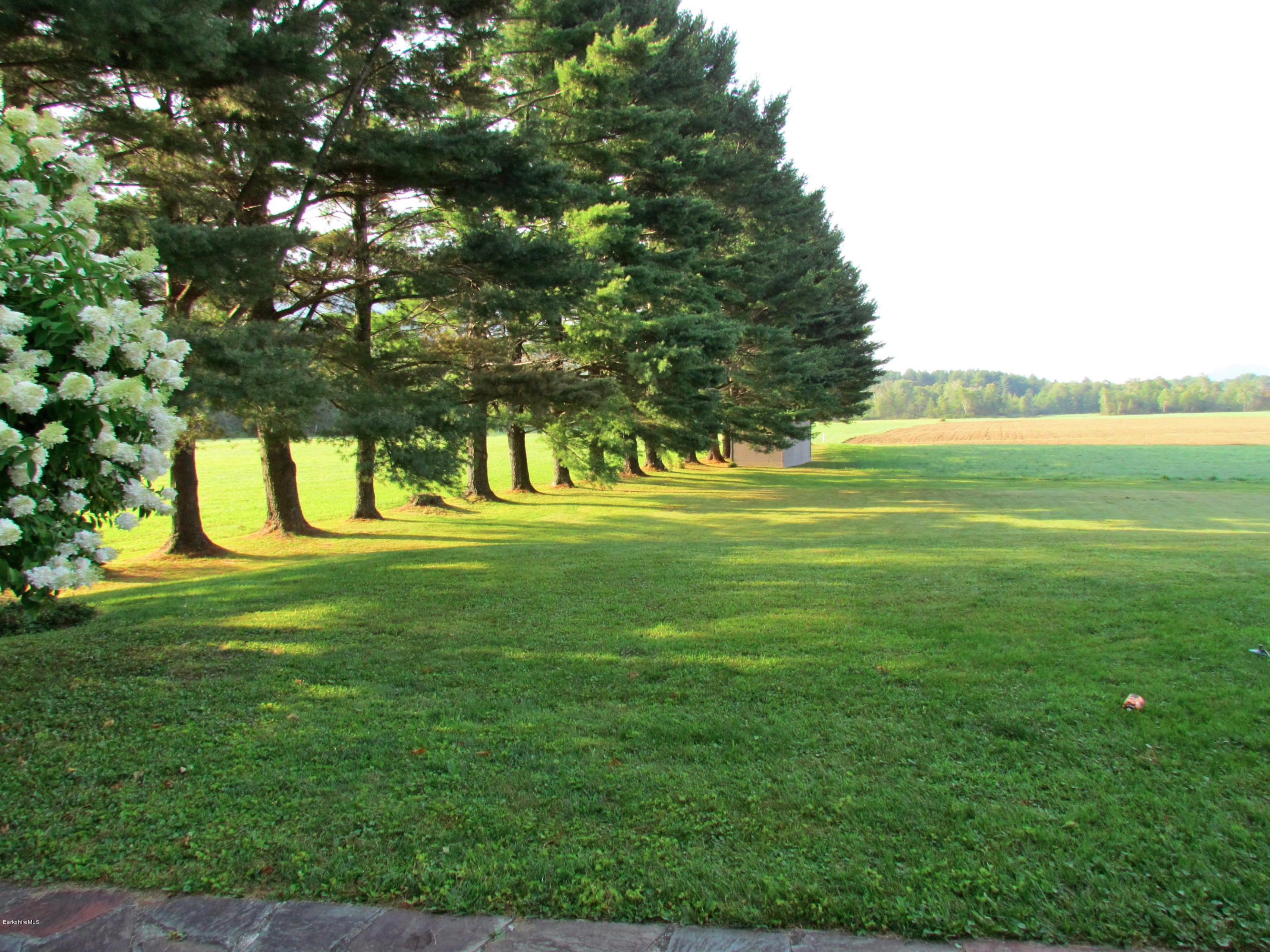 102 Clough Road Stamford, VT 05352 - Photo 11 of 13 a view of a big yard with an trees