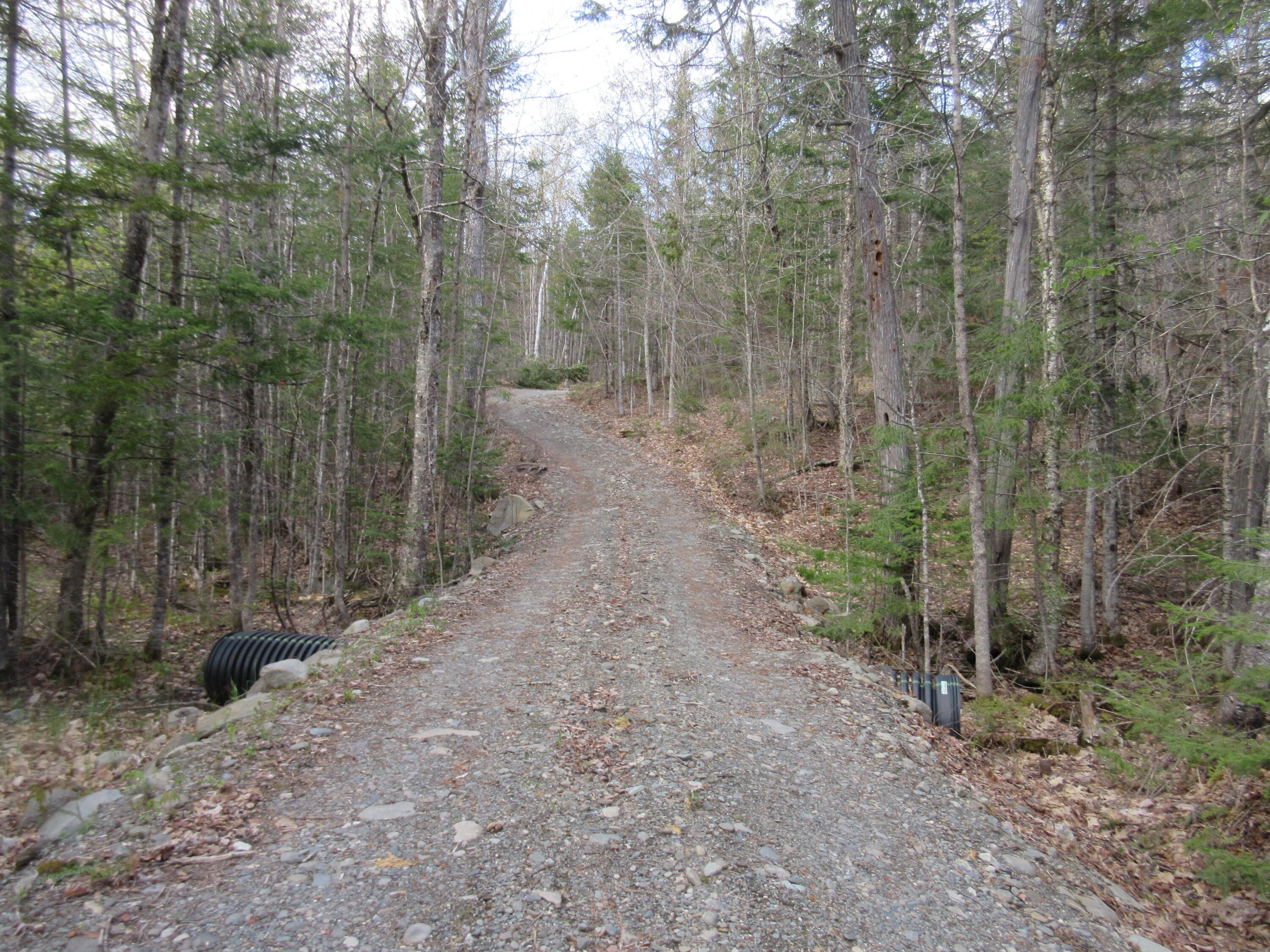 31.31 North Blanchard Shirley Road Abbot, ME 04406 - Photo 15 of 15 IMG_2170