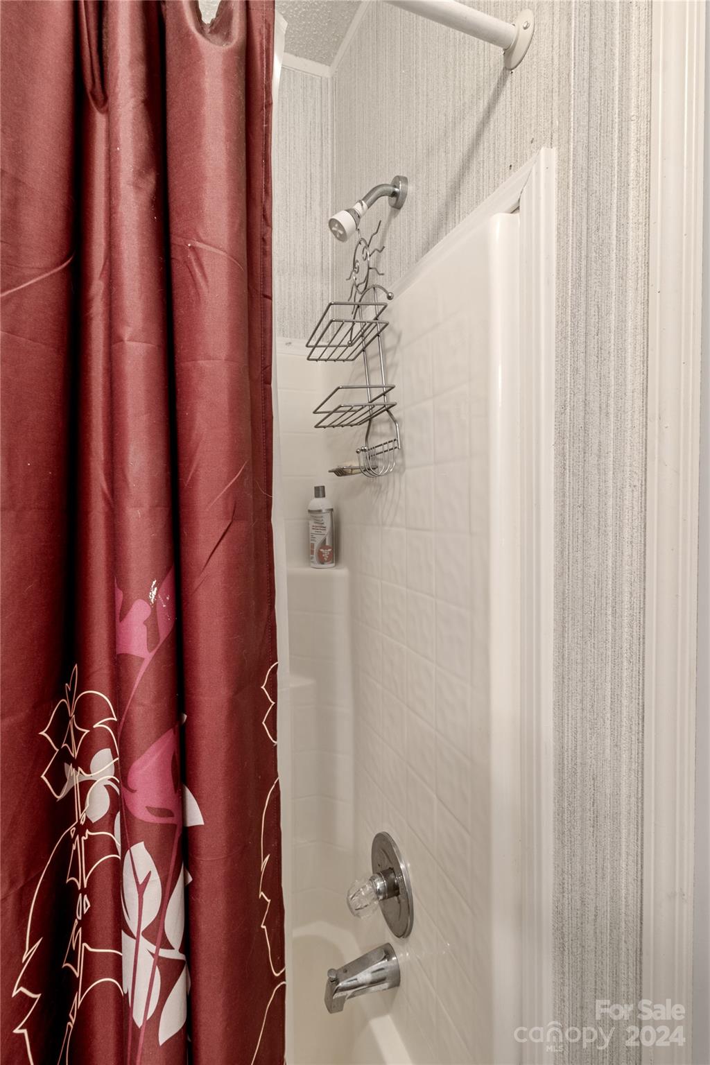 65 Fraser Hill Drive Mars Hill, NC 28754 - Photo 30 of 39 a bathroom with a shower curtain and a sink
