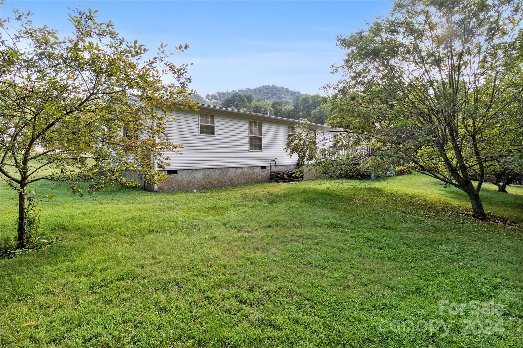 65 Fraser Hill Drive Mars Hill, NC 28754 - Photo 36 of 39 a view of a backyard of the house