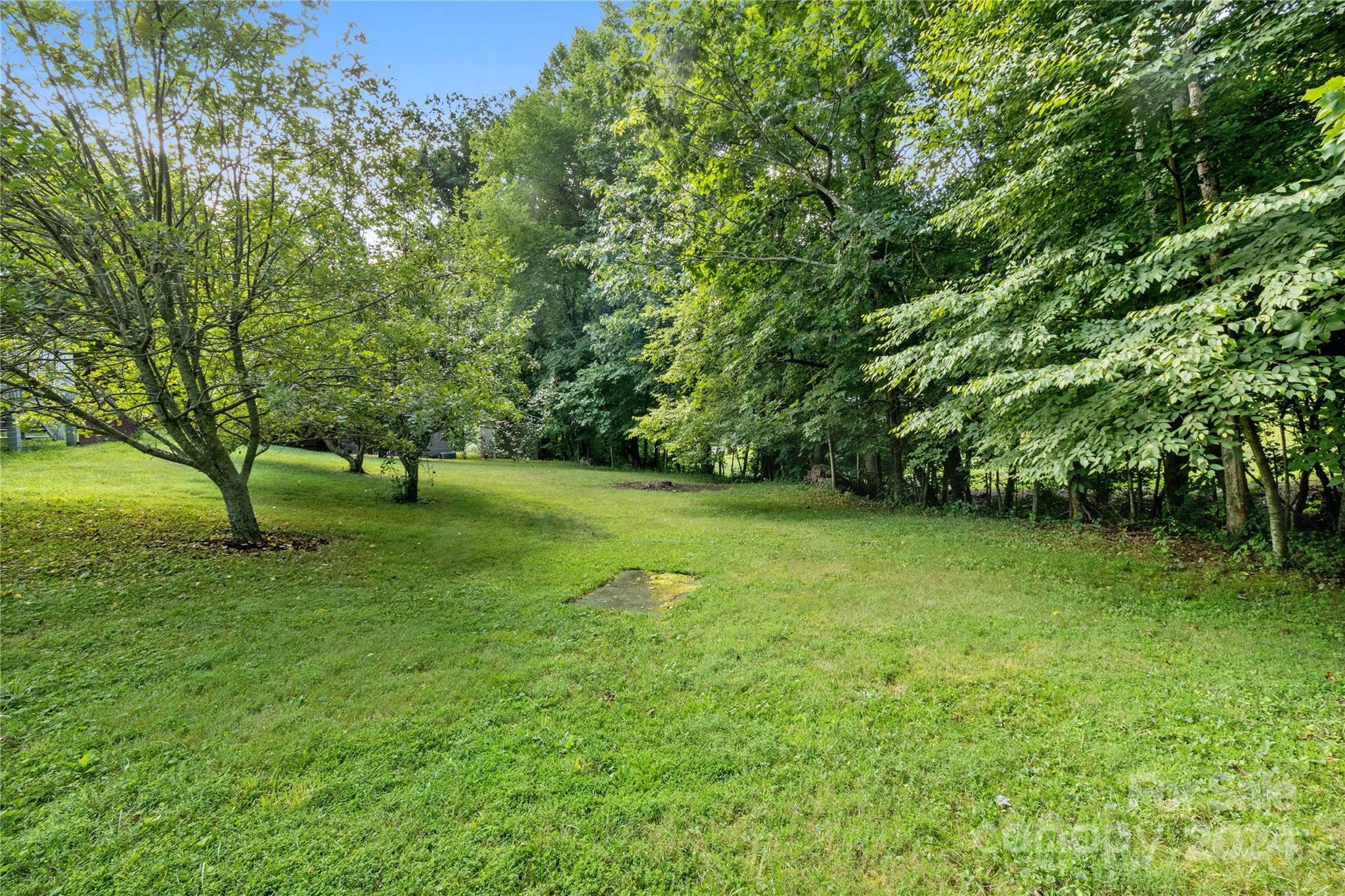 65 Fraser Hill Drive Mars Hill, NC 28754 - Photo 38 of 39 a view of a green field with trees