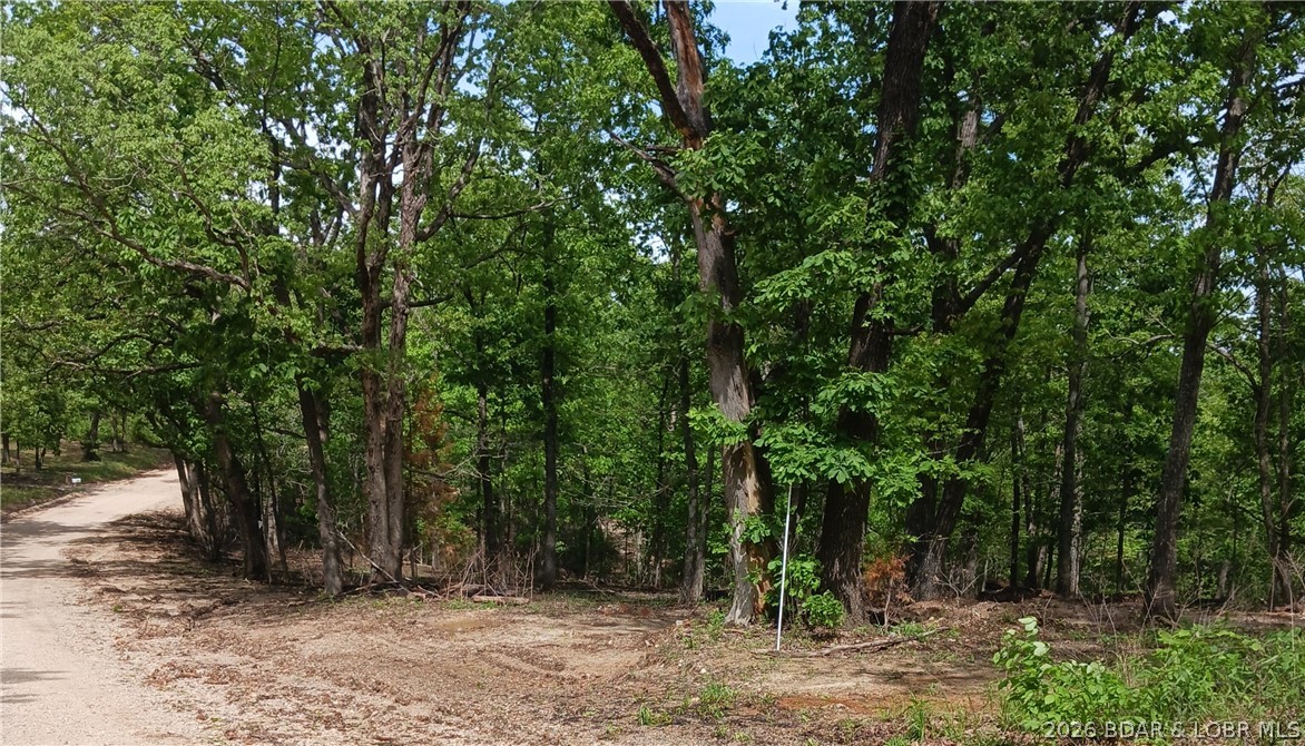 Tbd Possum Trot Road Stover, MO 65078 - Photo 2 of 10 Gallery Image 2
