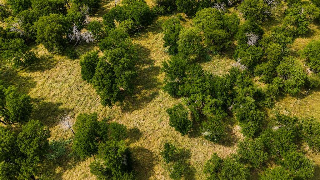 274 Ridgeline Drive Chico, TX 76431 - Photo 7 of 9 a view of a lush green forest