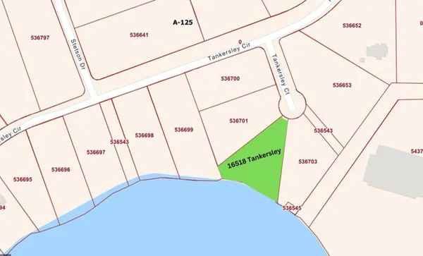 a view of a floor in a back yard