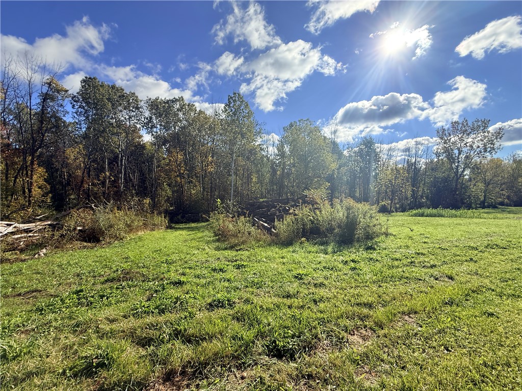 4048 Deneef Road Lyons, NY 14489 - Photo 9 of 23 Gallery Image 9
