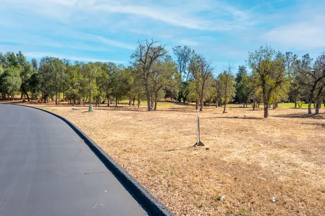 a view of open space with trees