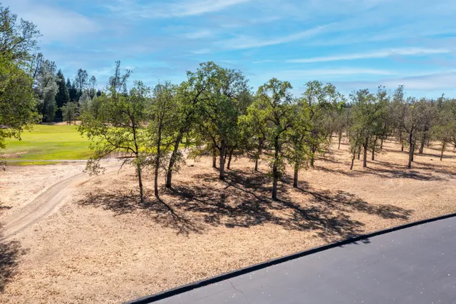 a view of a yard with tree s