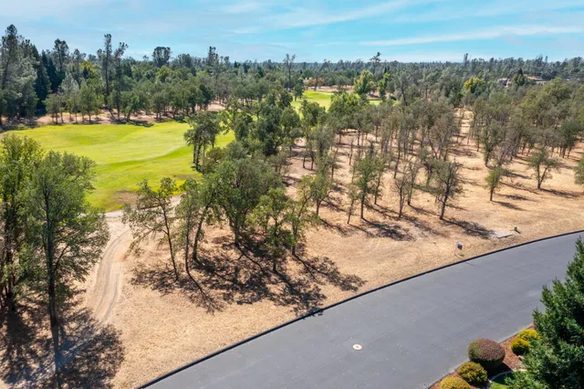 a view of a yard and mountain