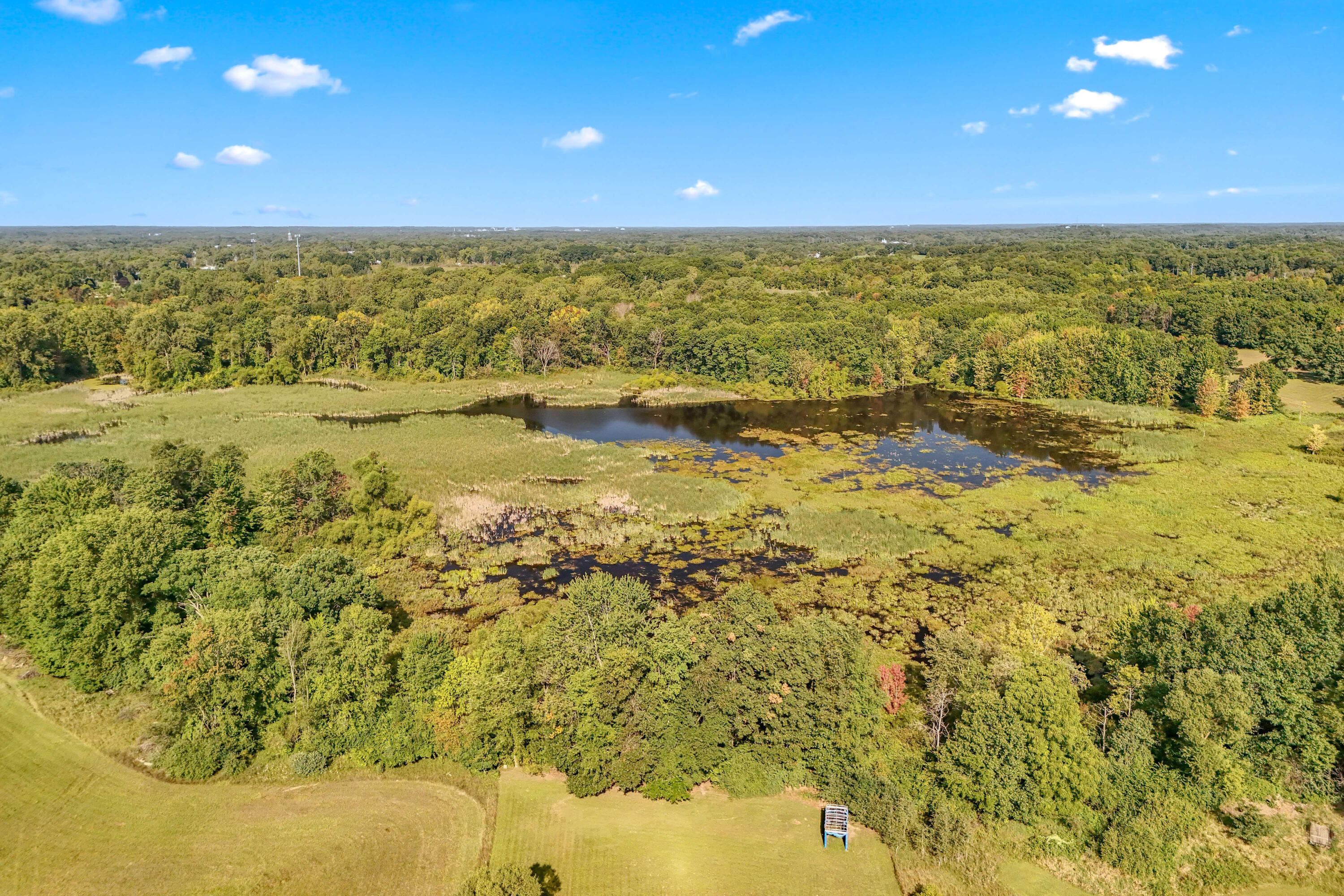 1830 Noon Road Jackson, MI 49201 - Photo 13 of 69 7