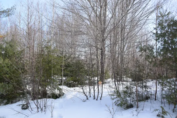 $115,000 | M7-l13-1 Pine Bluff Road, Embden, ME 04958