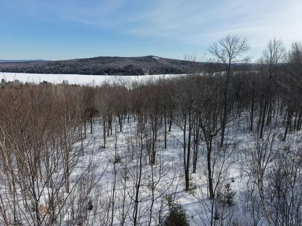 $115,000 | M7-l13-1 Pine Bluff Road, Embden, ME 04958