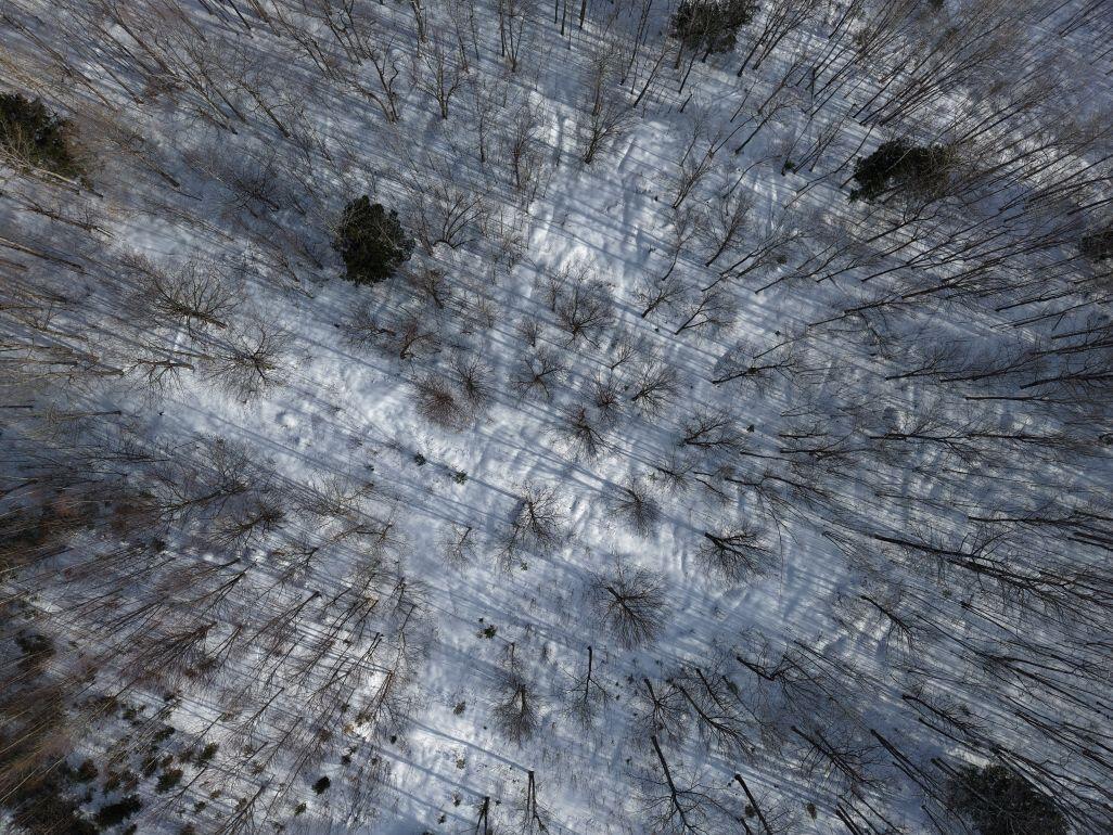 M7-l13-1 Pine Bluff Road Embden, ME 04958 - Photo 19 of 22 DJI_20260220094117_0016_D