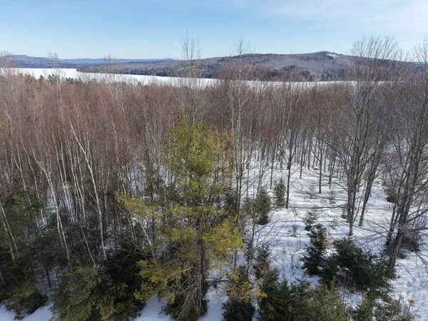 $115,000 | M7-l13-1 Pine Bluff Road, Embden, ME 04958