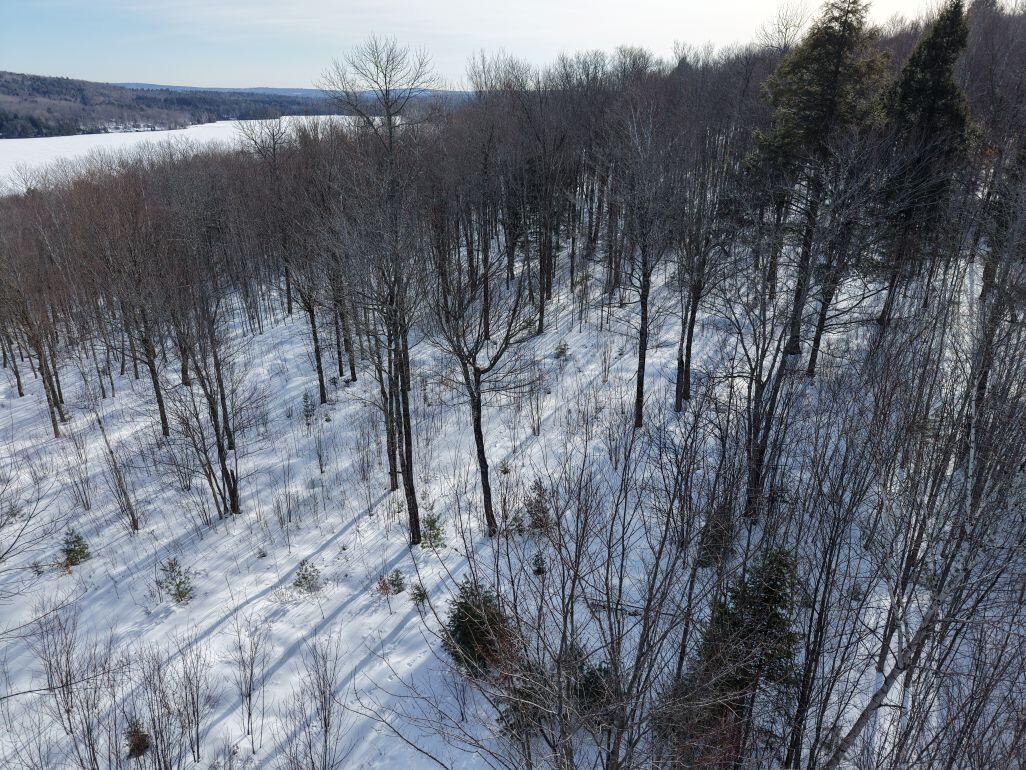 M7-l13-1 Pine Bluff Road Embden, ME 04958 - Photo 9 of 22 DJI_20260220093904_0006_D