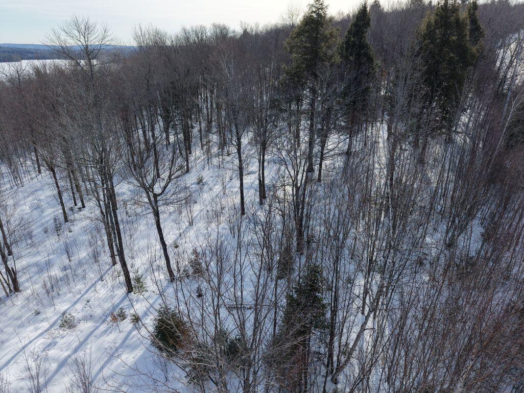 M7-l13-1 Pine Bluff Road Embden, ME 04958 - Photo 10 of 22 DJI_20260220093910_0007_D