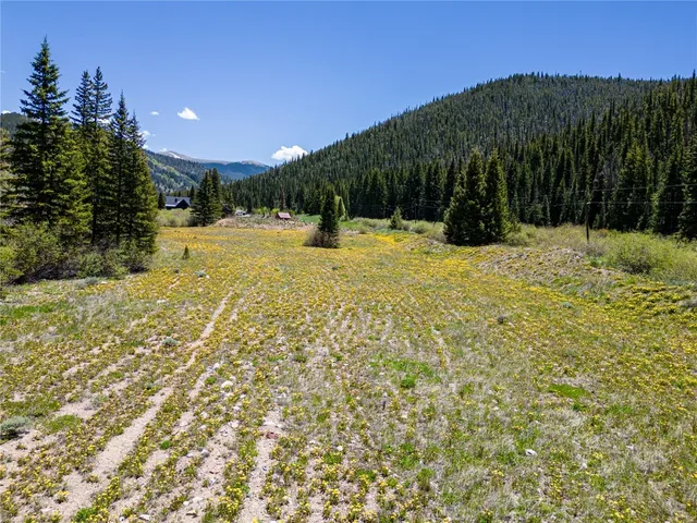 $1,695,000 | Tbd Tiger Road, Breckenridge, CO 80424