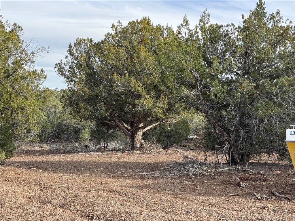 34745 West Running Shadow Road Seligman, AZ 86337 - Photo 42 of 52