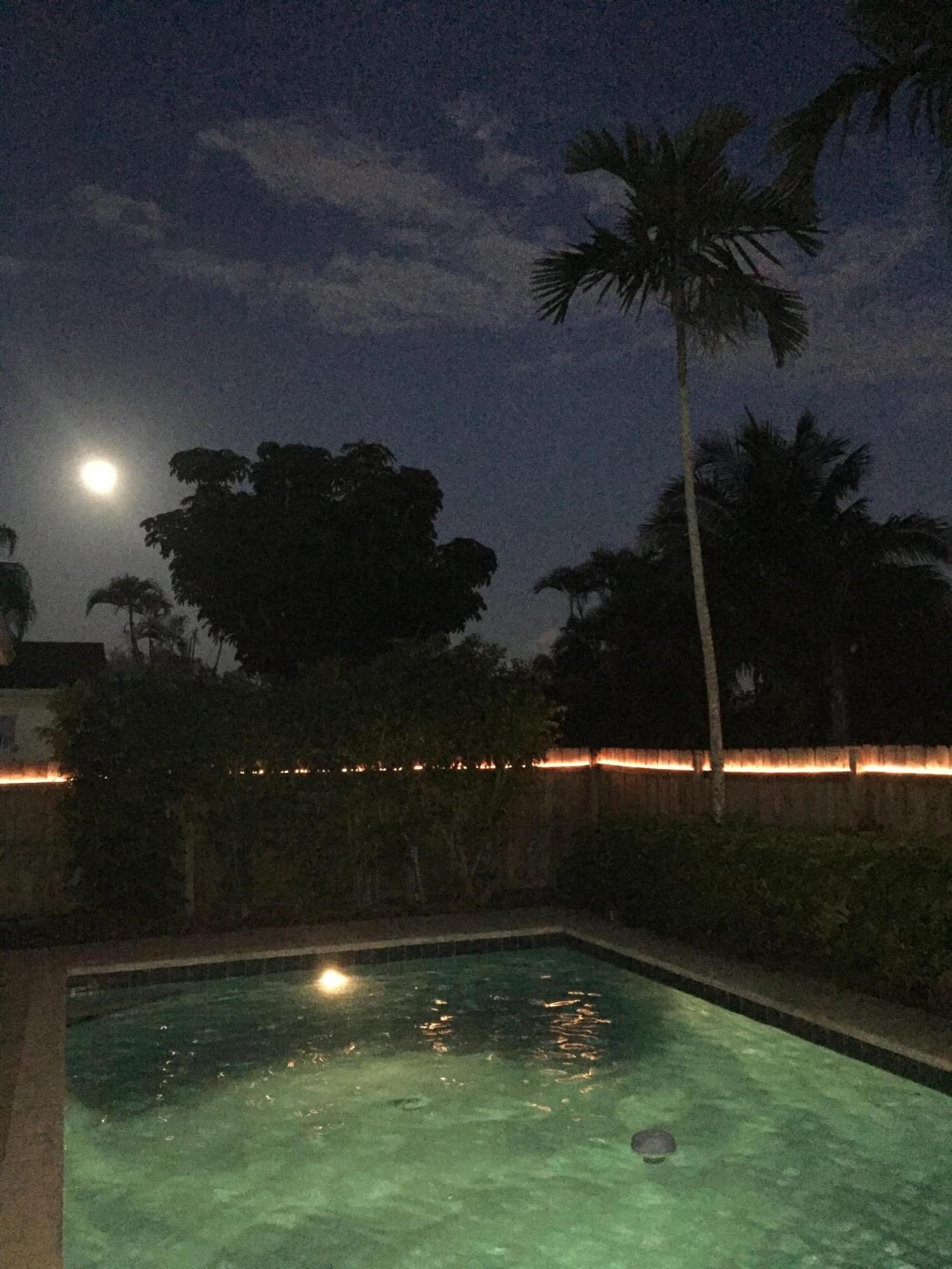 9230 Southwest 16th Street Boca Raton, FL 33428 - Photo 42 of 43 Night time Sellers Pic