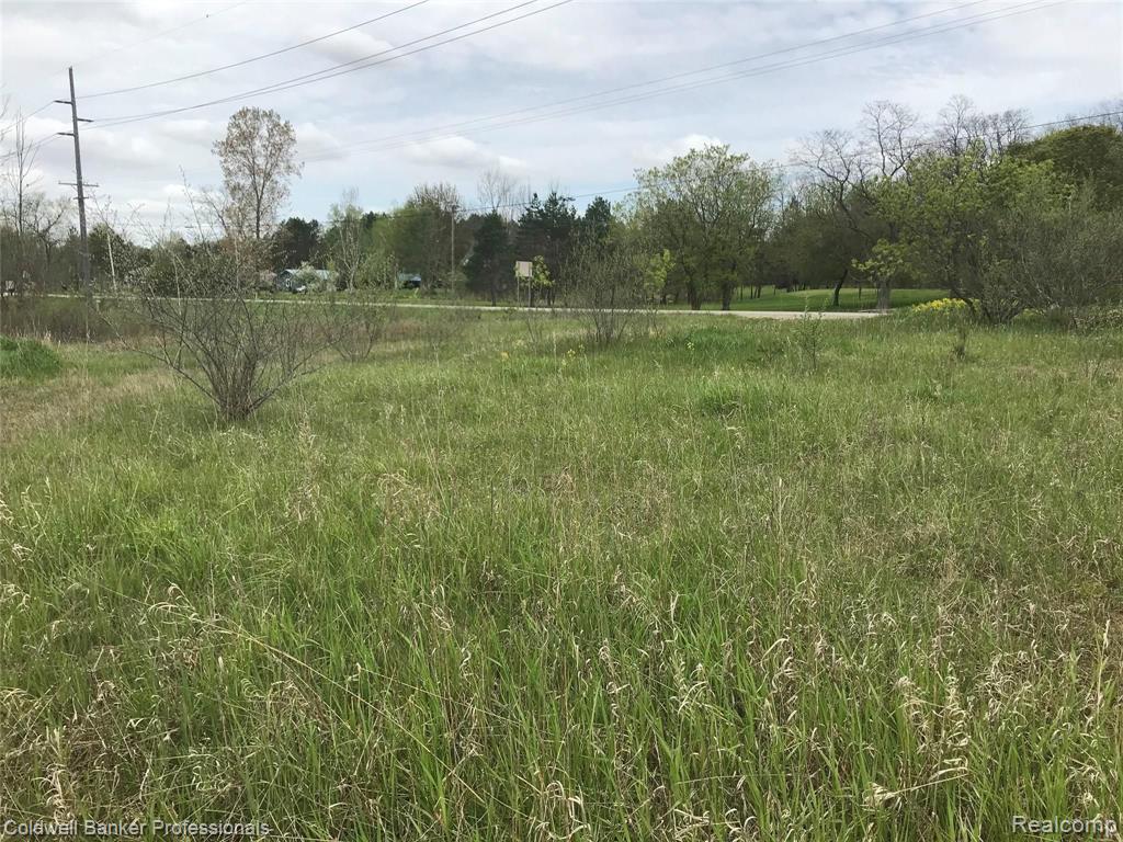 0 Galbraith-brockway Road Melvin, MI 48454 - Photo 1 of 3