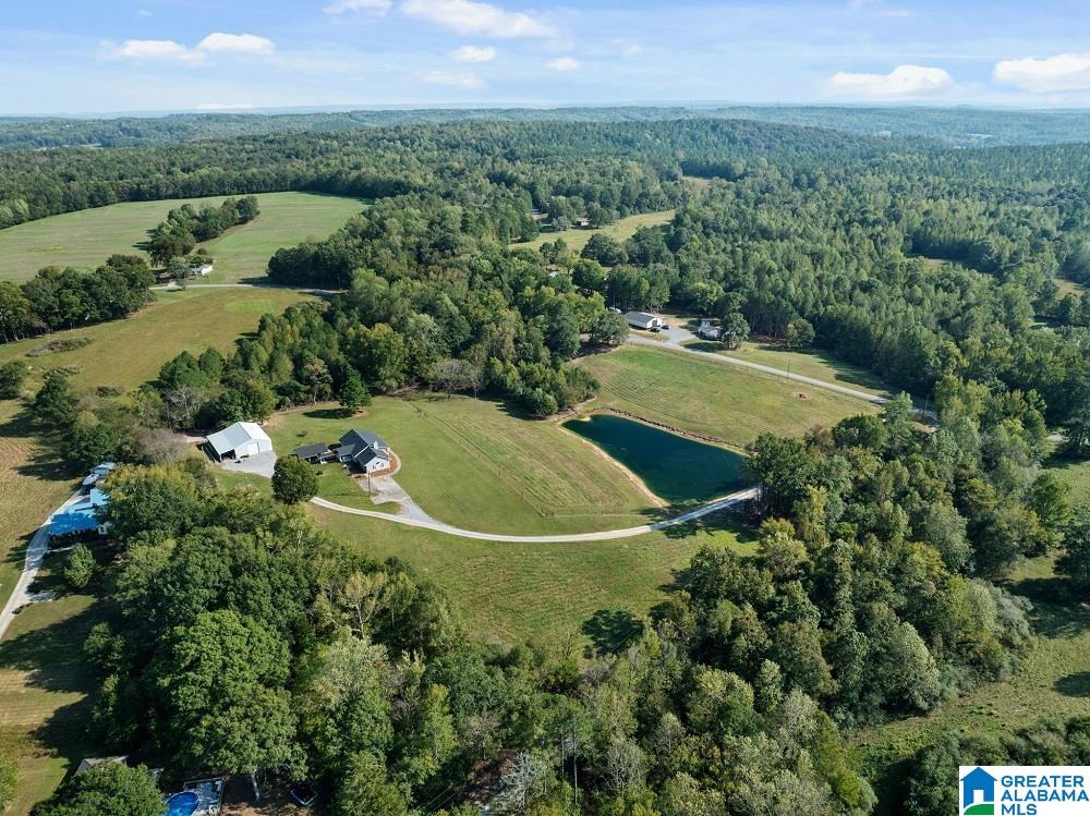 1199 Mt Hebron Road Blountsville, AL 35031 - Photo 12 of 34