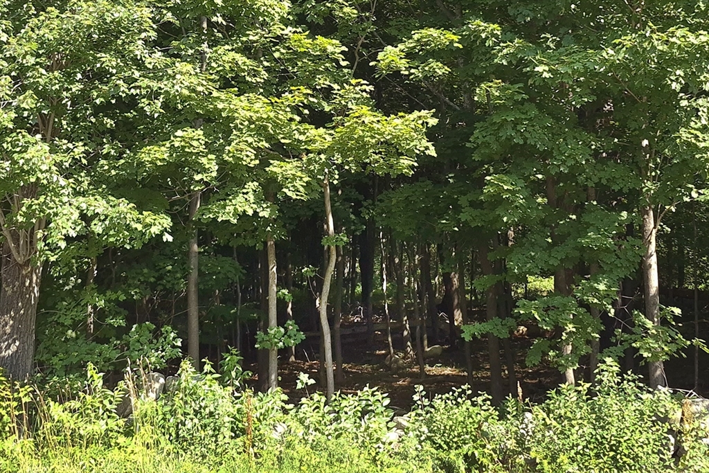 125 Topsfield Road Ipswich, MA 01938 - Photo 2 of 3