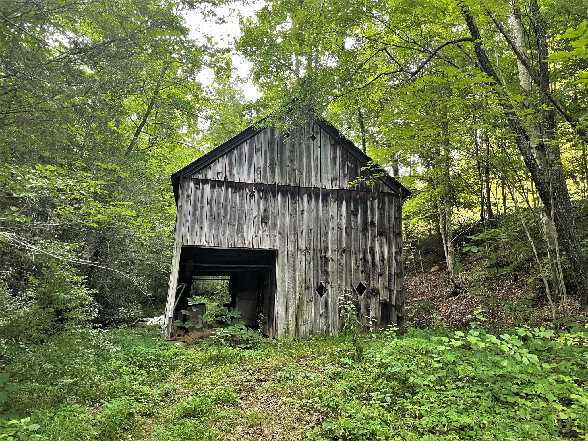 990 Yellow Springs Road Cosby, TN 37722 - Photo 8 of 12