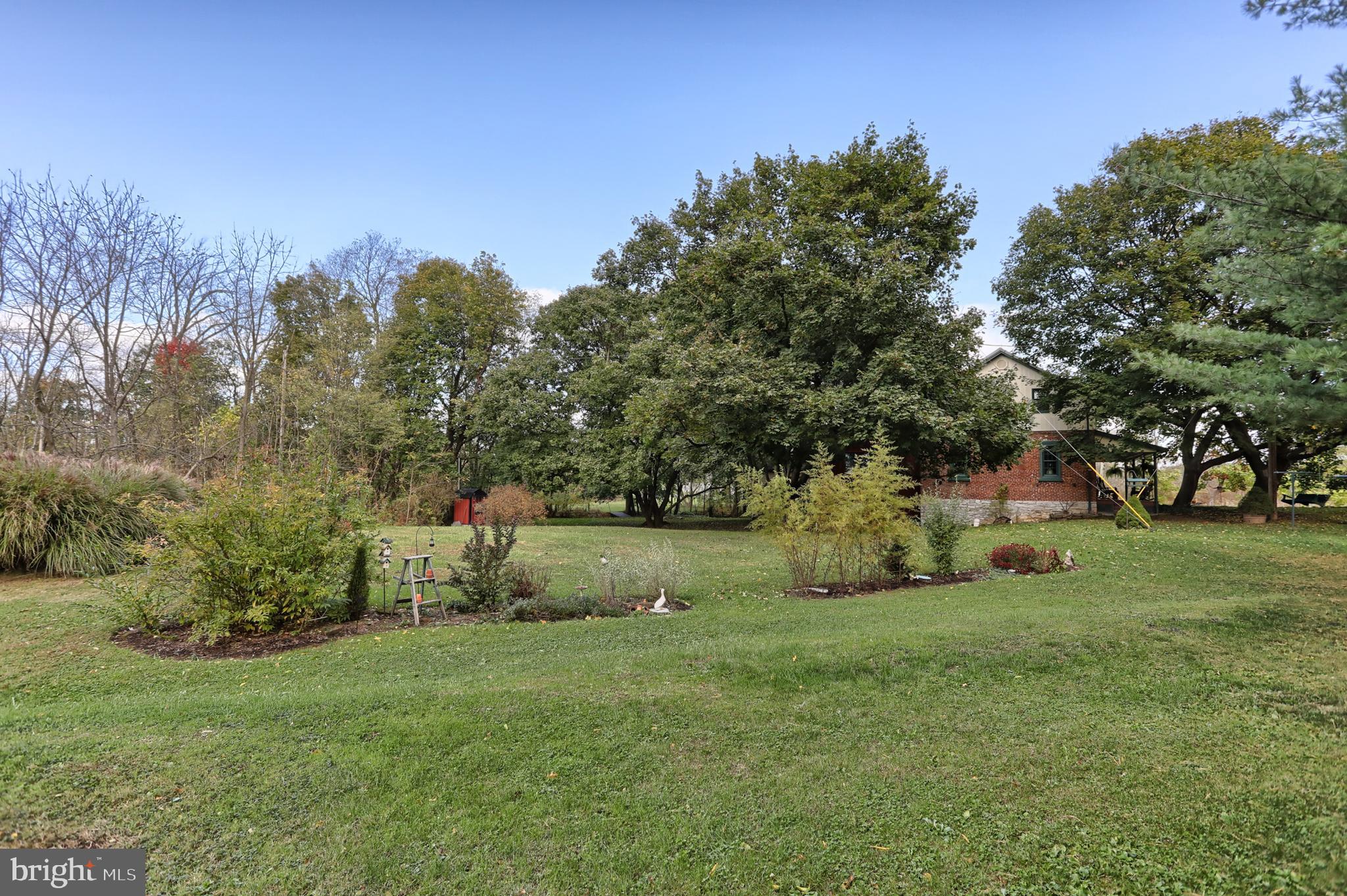 Open yard space for gardening